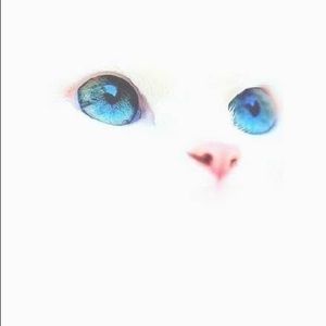 Meet your Posher, Fan